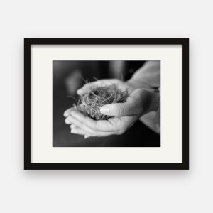 Held print 01 · Freya · The Nest